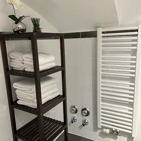 城市中心公寓 公寓 萨尔茨堡