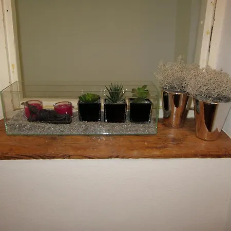 سيتي سنتر شقة *