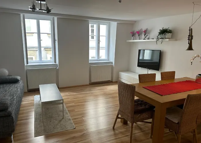 城市中心公寓 * 萨尔茨堡